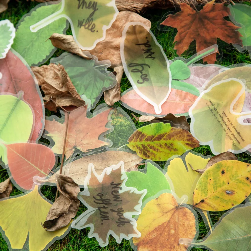 30 Sheets/pack Fallen Leaves Washi Paper Sticker Set Clover Maple Leaf Decoration Stickers Diy Label For Scrapbooking Art Craft afbeelding