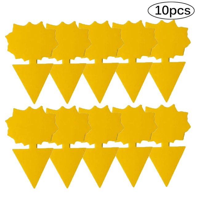 10pcs flower