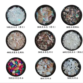 

Natural Shell Nail Ornament Shell Crush Flakes Nail Decorations