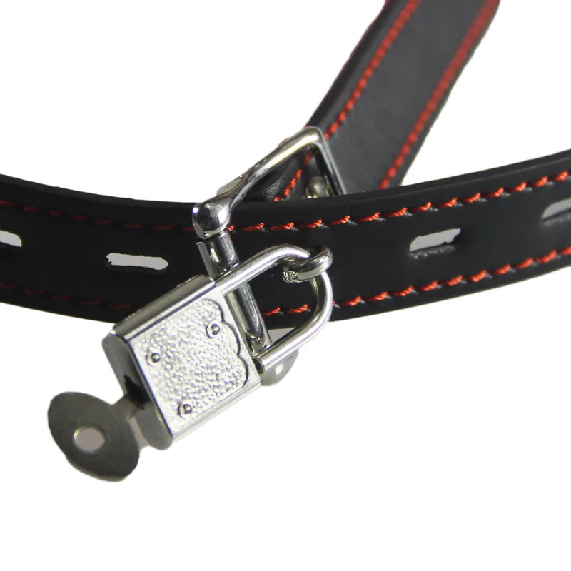 HE274b bow gag (1)