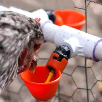 

1Pcs Chicken Automatically Water Drinking Birds Bowls Supplies Farm Animal Poultry Coop Drinkers Water