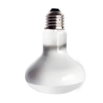 

220V UVA Reptile Lamp Bulb Turtle Basking UV Light Bulbs Heating Lamp Amphibians Lizard Terrarium Temperature Controller 25/40W