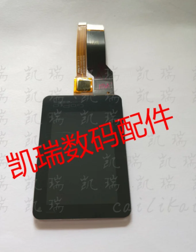 狗6