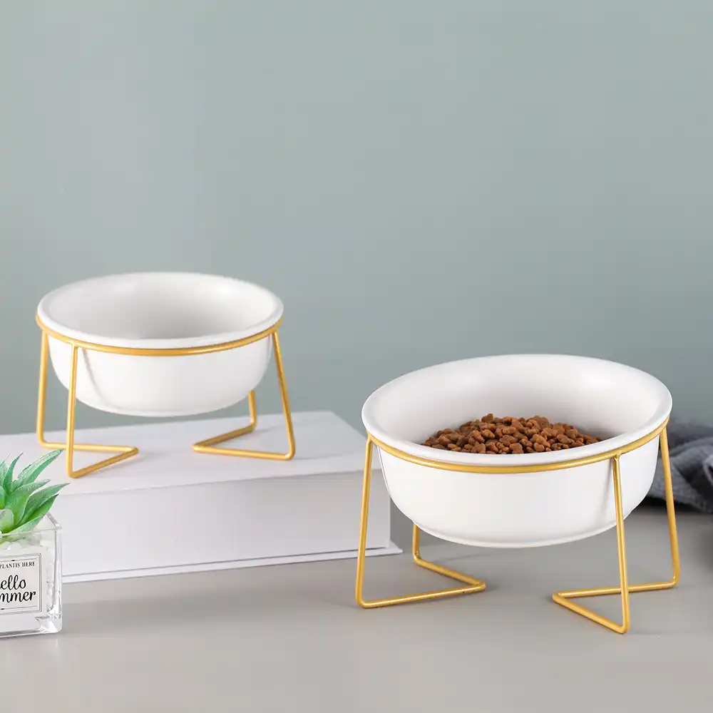 elevated cat water bowl