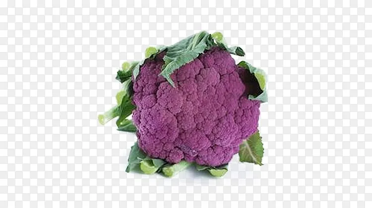 紫色的花菜素材图片png图片素材免费下载 图片编号ybvwvkny Pngbag素材网