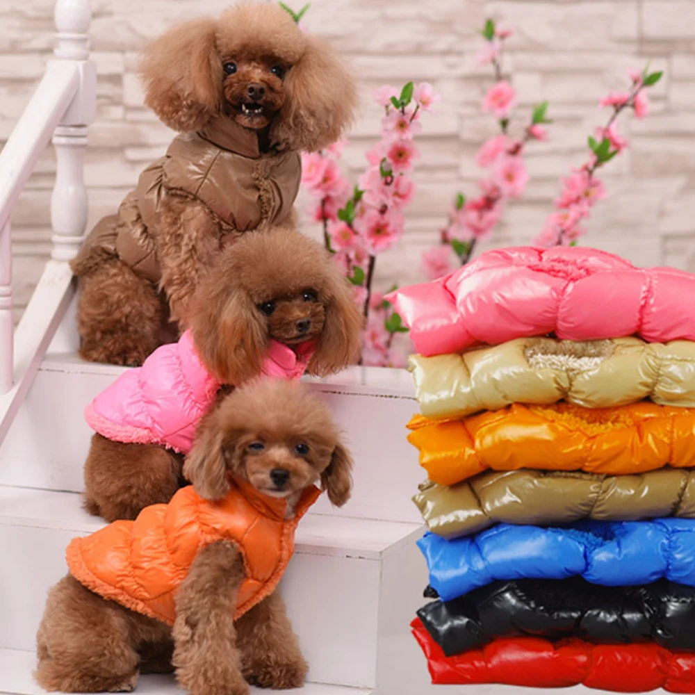 

Thicken Chihuahua Dog Winter Clothes Waterproof Jacket For Dogs Warm Puppy Pet Coats Pug French Bulldog Vest Clothing