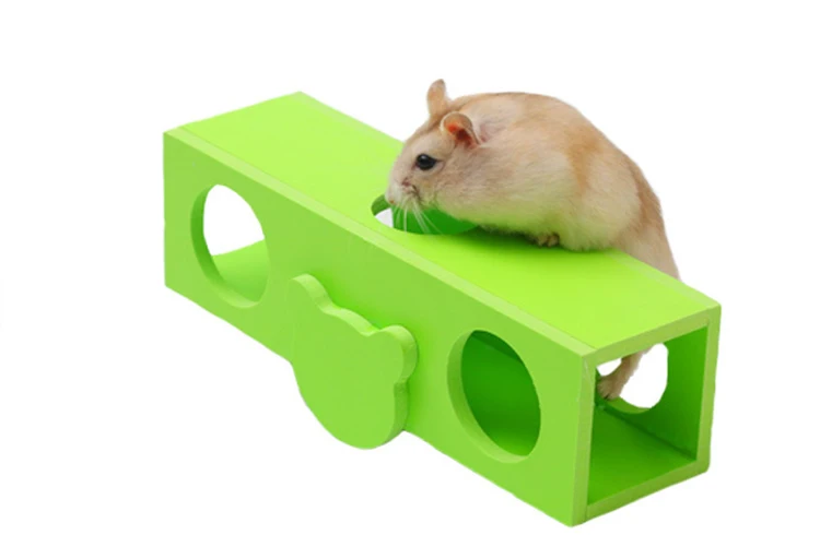 2554198534_1977180459