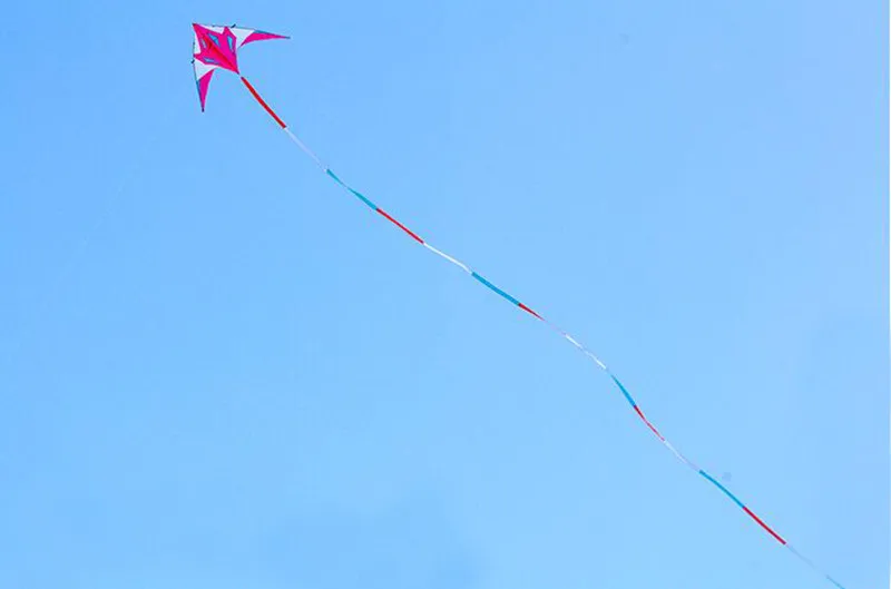 细节004