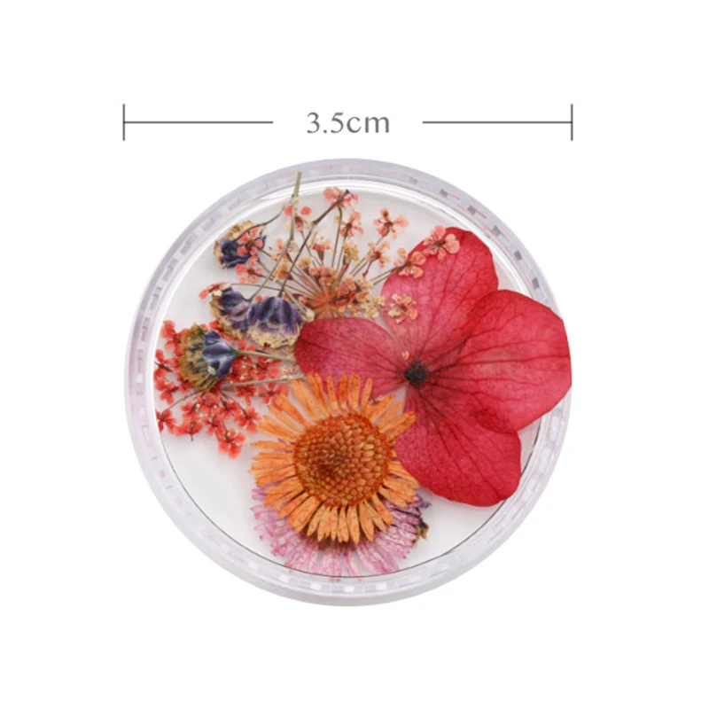 1 коробка 3D натуральный высушенный цветок для ногтей художественные украшения красочные листья смешанные размеры Цветочные ногти DIY красота дизайн украшения Советы