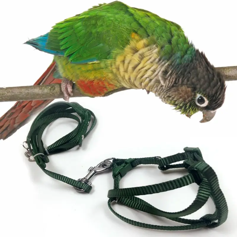 Тяговые ремни для попугая, чтобы лететь веревки, чтобы предотвратить укусы птиц с из страусиного тренировочного волокна свинцовой веревки