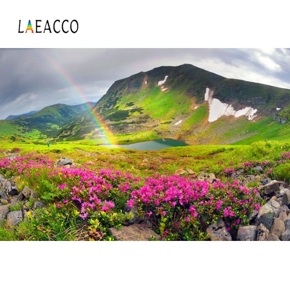 Laeacco фоны для фотосъемки с Горным цветком радуга сцена детские Фотостудия |