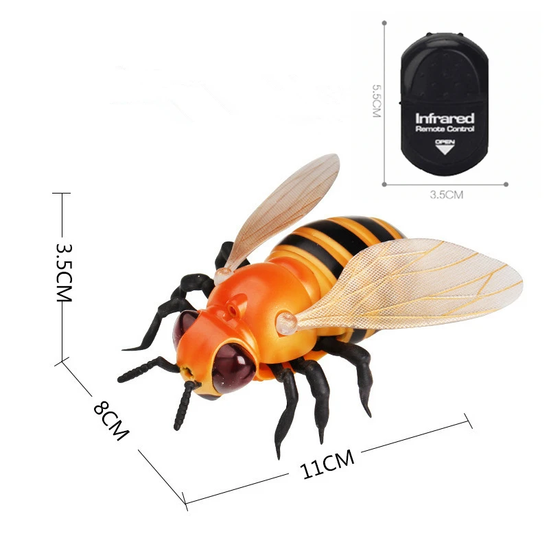 8863446622_250004779_副本_副本