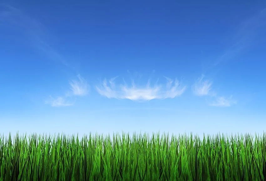 7 X5Ft Green Grass Blue Sky Battesimo Party Custom Photo Studio Sfondo Sfondo Vinile 220Cm X 150Cm