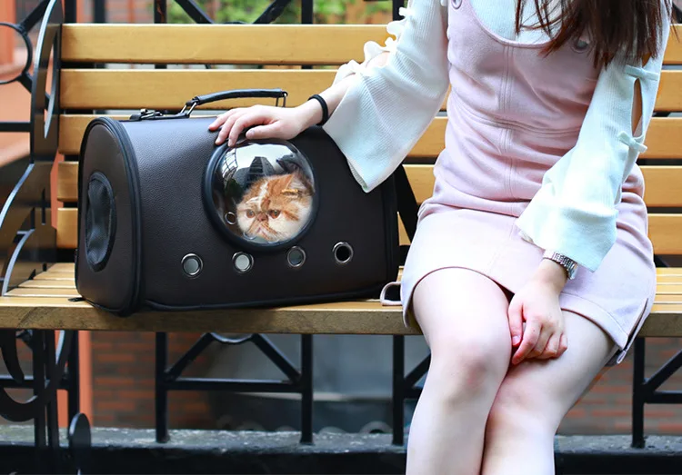 10925672948_345777210