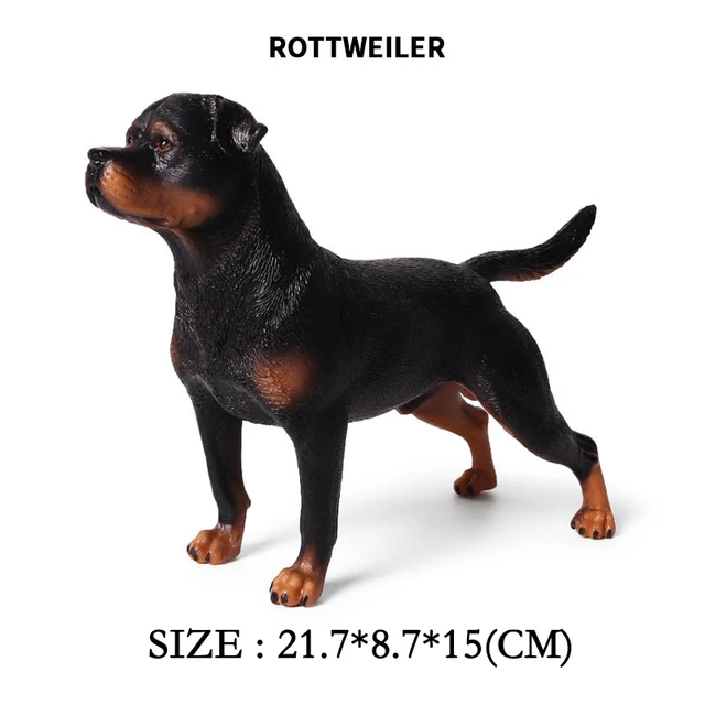 dommer kølig Tålmodighed Pet Dogo Argentino Dobermann Rottweiler | Rottweiler Doberman | Bulldog  Rottweiler - Action Figures - Aliexpress