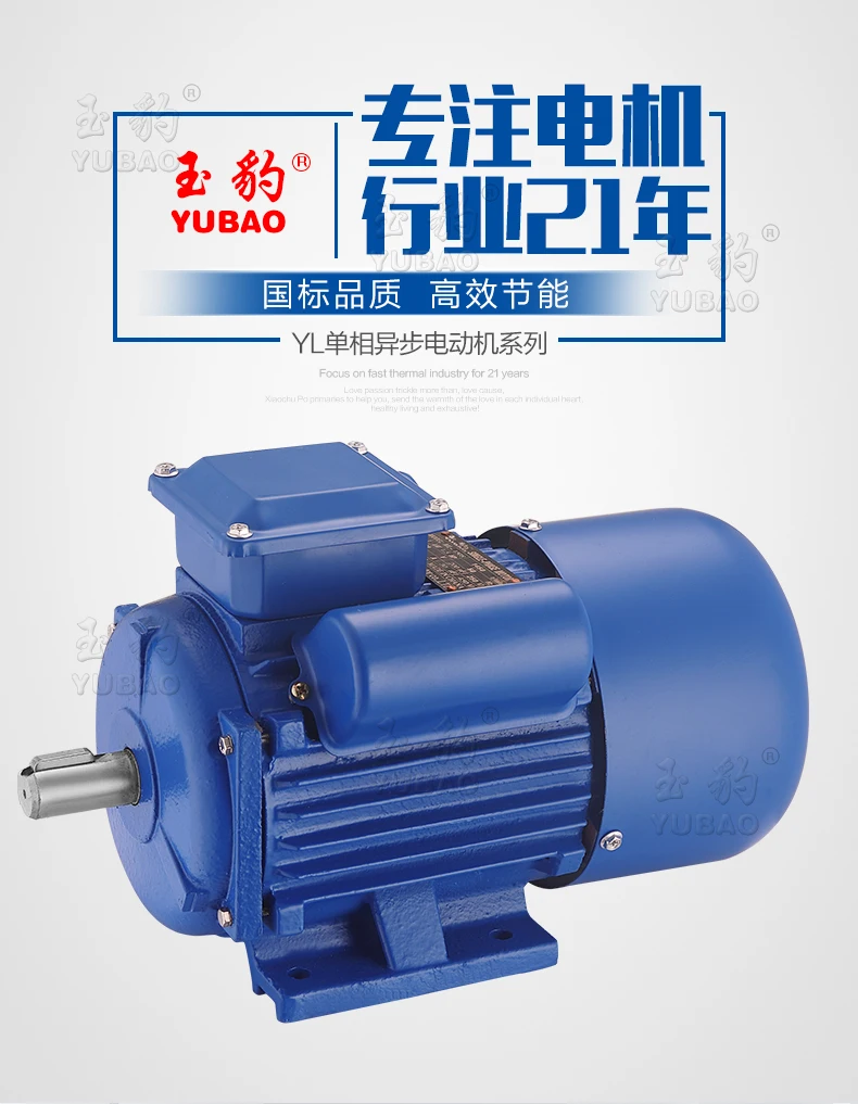 Асинхронный Однофазный Двигатель 220в Купить