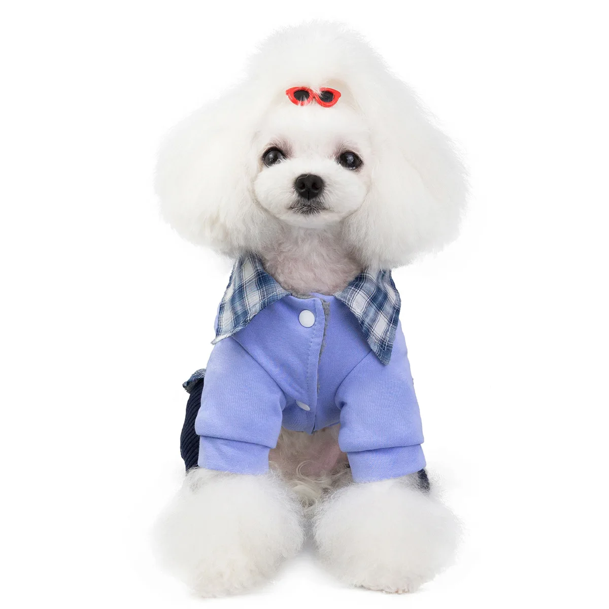 Одежда для собак на осень и зиму, стиль, Bichon VIP очки, медвежьи ножки, одежда с хлопковой подкладкой