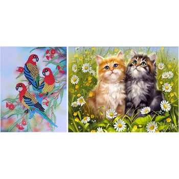 

Promotion! 2 Set 5D Special Shaped Diamond Painting Partially Drilled Rhinestone Diamond Embroidery Cross Stitch Home Decor , Bi