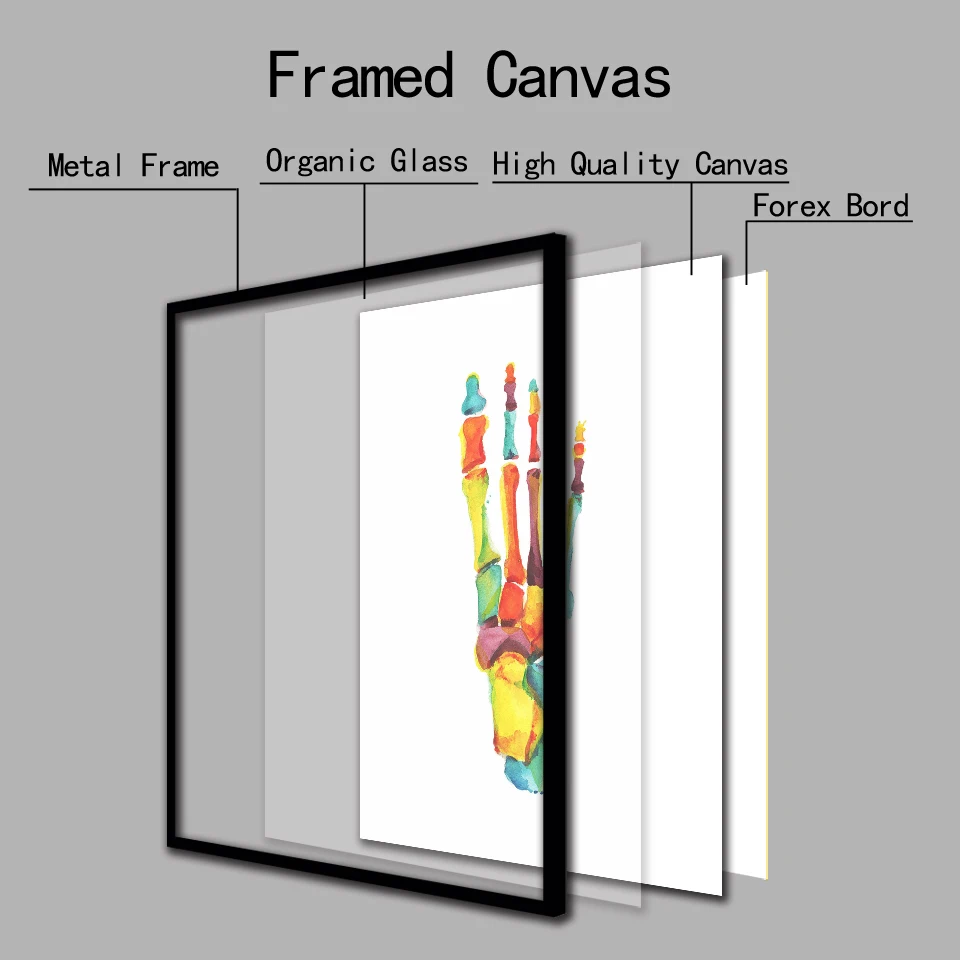 Акварельные кости плакат с ногой Анатомия человека позвоночника колонна постер и принт Картина на холсте hd настенное искусство для комнаты домашний декор
