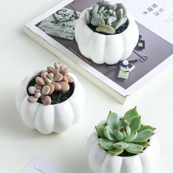 

3 Tier Indoor Desk With Drainage Pumpkin Succulent Pots Mini Home Office Garden Decoration Bamboo Stand Set Planter Modern
