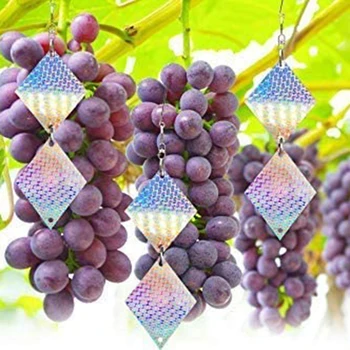 

8PCS/Set Strings Bird Repellent Laser Reflective Diamond Easily Rotate 360 Degrees Double-Sided Reflective Bird Threatening