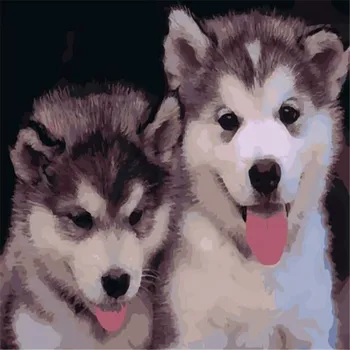 

Cute little Dog Oil Painting By Numbers DIY Abstract Animal Digital Picture Coloring By Numbers On Canvas Unique Gift Home Decor