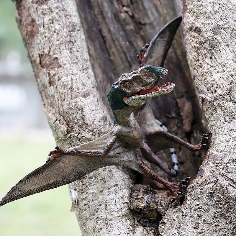 Оригинальный хищный динозавр Oenux Anhanguera стоячие животные модель Pterodactyl экшн