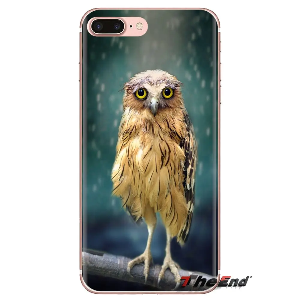 シリコーン電話カバーバッグ動物鳥フクロウの木壁紙 Ipod Touch の Apple の Iphone 4 4s 5 5s Se 5c 6 6s 7 8 Xr Xs プラス最大 Fitted Cases Aliexpress