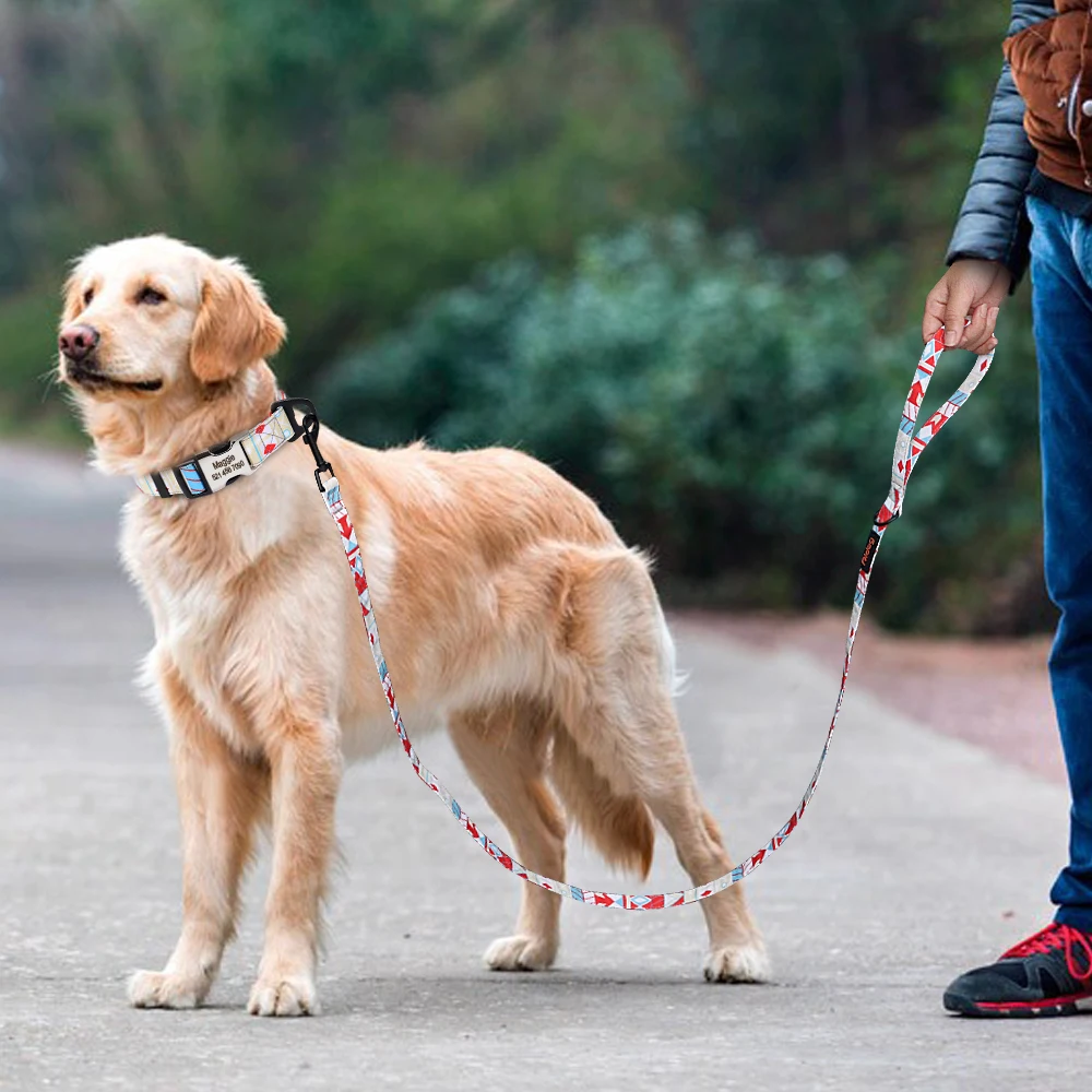 150cm Nylon Pet Leash Colorful Print Walking Training - PeticaDeals