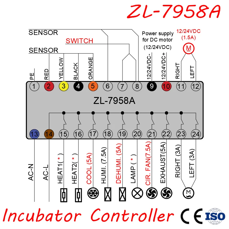 dsc-products