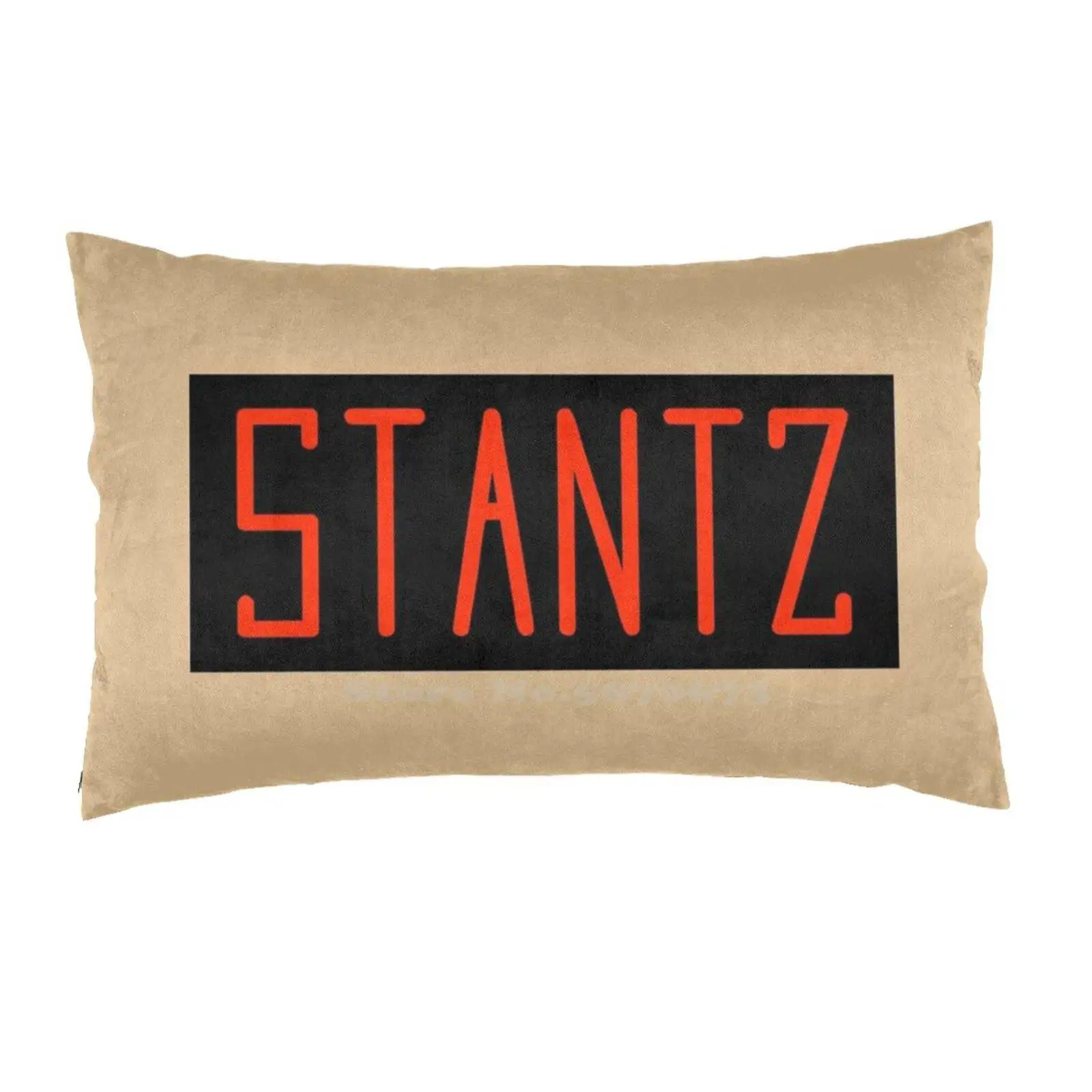 Ray Stantz Nome Tag Fodera Per Cuscino Per Divano Home Printed Federe Ghostbusters Ray Raymond Stantz The Real Ghostbusters