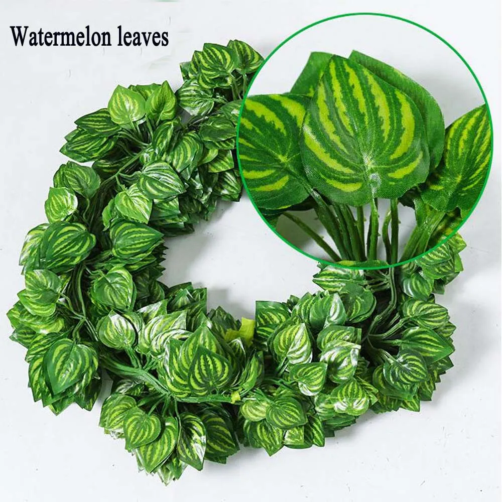Watermelon Leaves 02