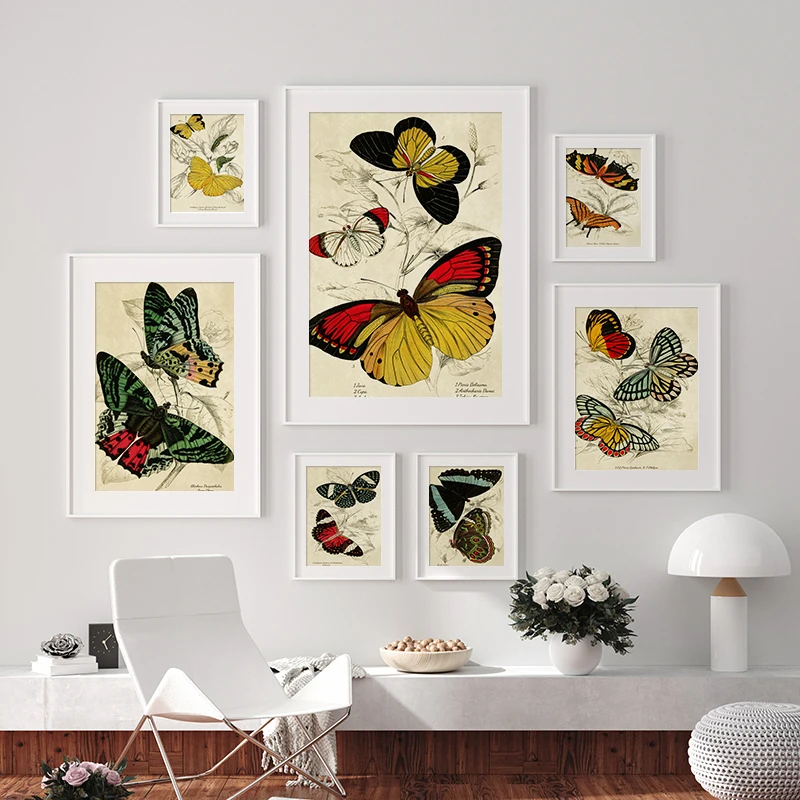Farfalla Insetto Falena Vintage Poster E Stampa Paillons Canvas Painting Biologia Educazione Wall Art Picture For Home Decor