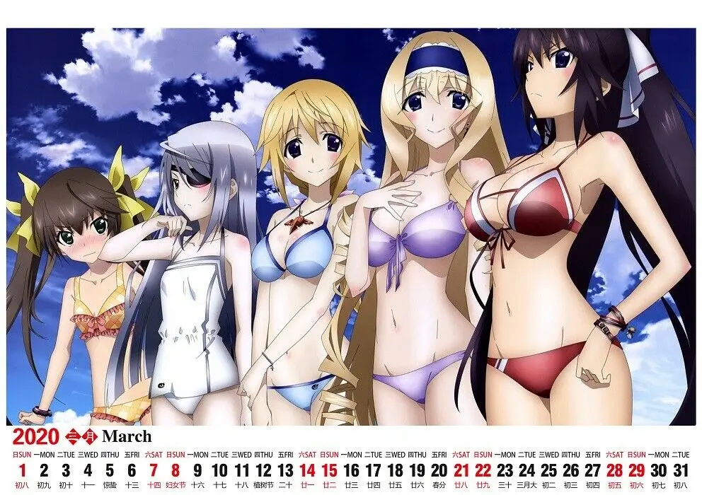 Аниме календарь Infinite Stratos Laura Bodewig Shinonono Houki Настольный календарь 13 страниц год