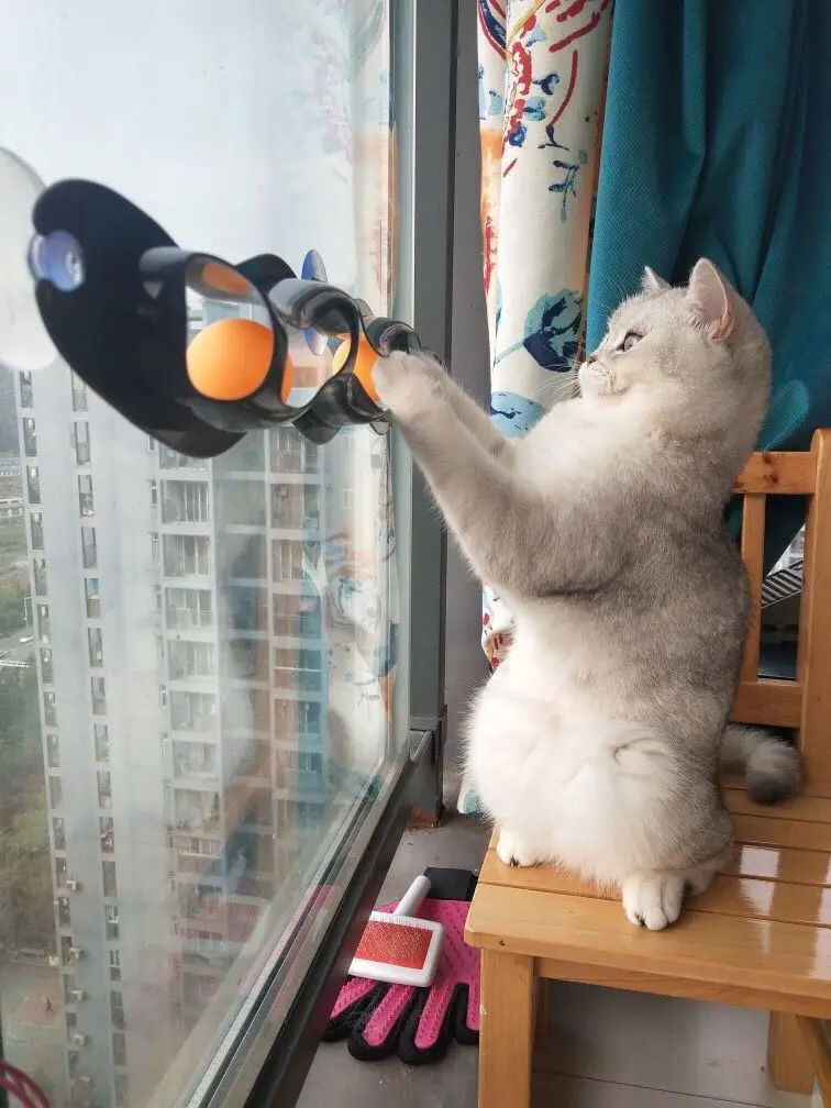 10458202748_180912512