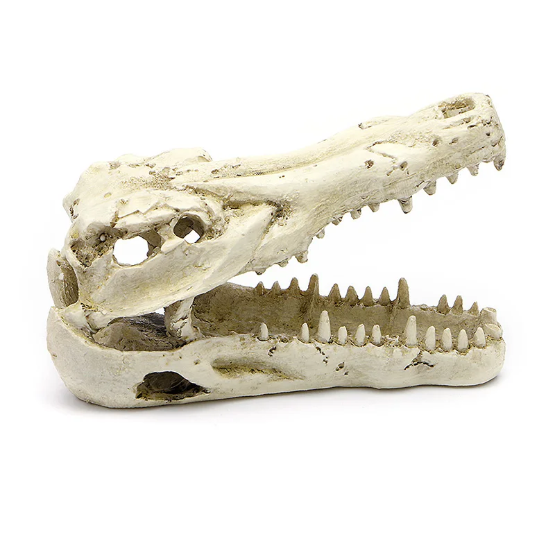 " крокодил череп искусственный Декор украшение для аквариума аквариум - Цвет: Белый