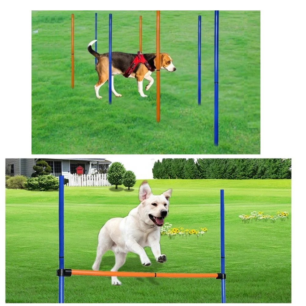 Pet Dog Agility Equipment Set 2