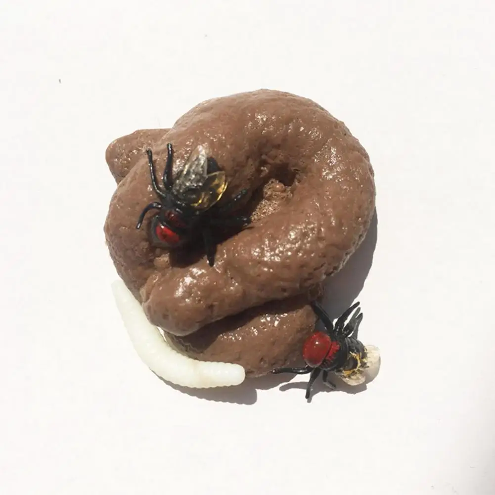 Como Diagnosticar e Tratar Problemas nas Glândulas Anais em Gatos, image size:1001x1001