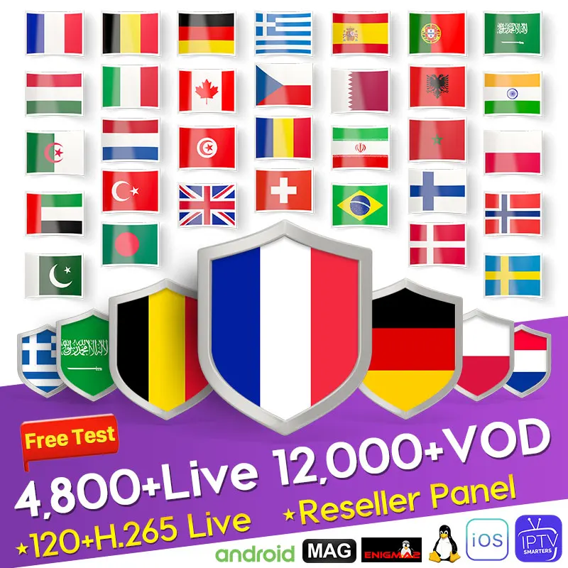 

French IPTV France Italy Arabic Greece German IP TV Belgium Netherlands IPTV Subscription M3U Android Spain Portugal Turkey IPTV