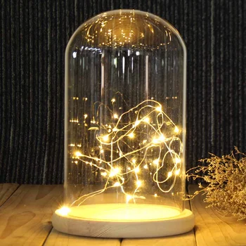 

Glass Dome Wooden Base Flower Glass Vase LED Display Box Bottles 20 LED Light Flower Landscape Holder Night Light Decor Gift