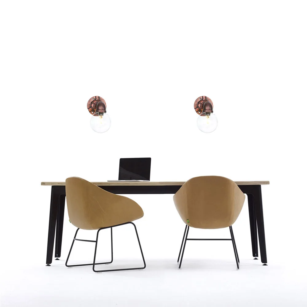 BG202 铁锈色+透明灯罩 白底场景