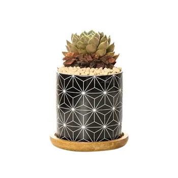 

Succulent Plant Pots, Cylindrical Ceramic Planter for Cactus,Succulent Plant