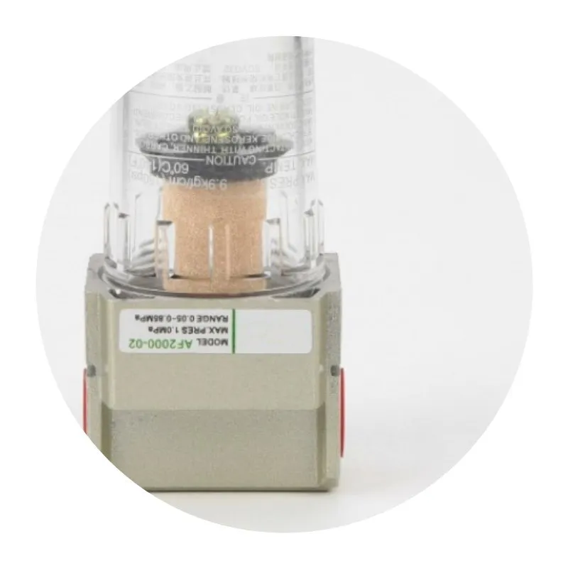 AF2000-02 source processor Copper filter Air pump filter Oil and water separator Pneumatic Components Air Compressor