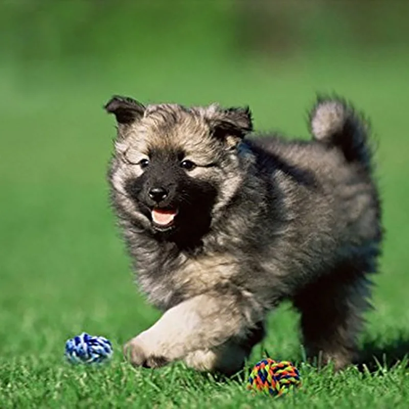 

Dog Rope Toy Knot Chew Teething Toys Teeth Cleaning Pet Palying Training Ball For Small Medium Large Dogs Cat Toys