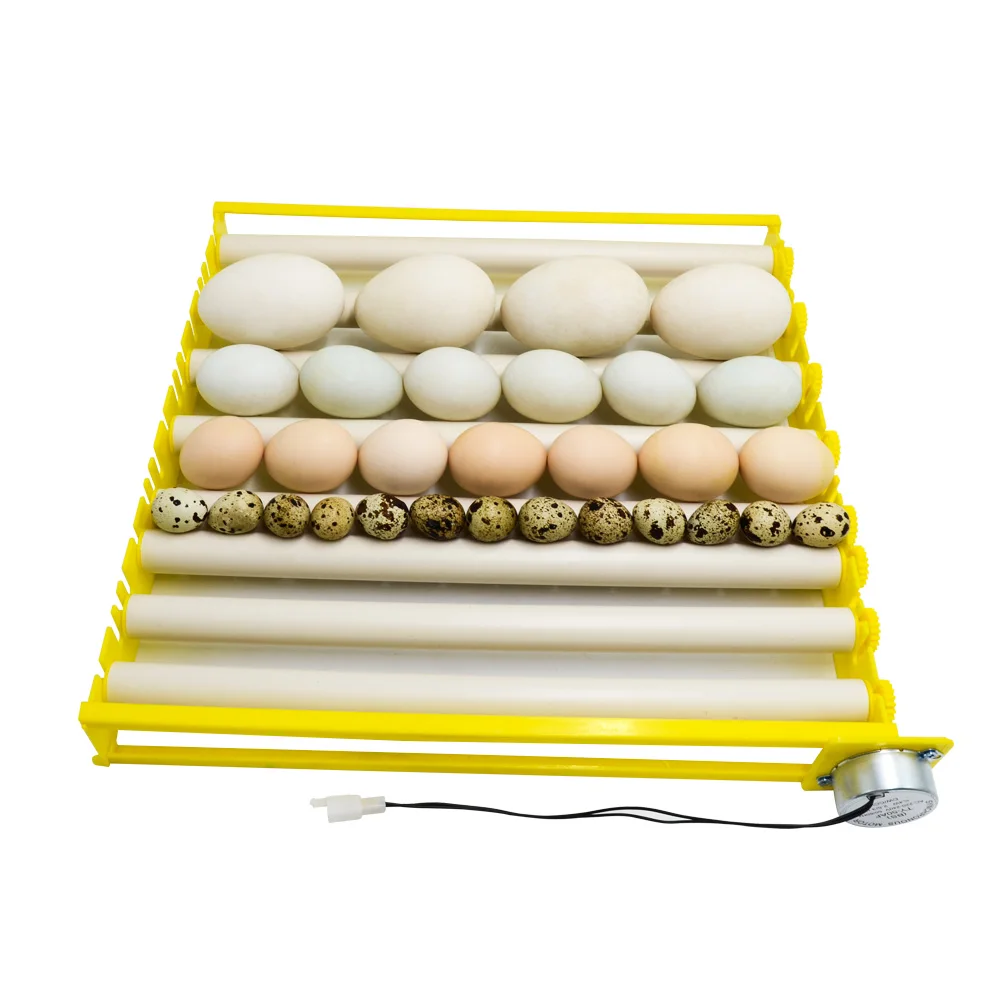 Automatic Roller Egg Tray 360&deg; Rotary Egg Turner 220V Eggs Incubator Pattern Incubation Accessory Bird Chicken egg incubator
