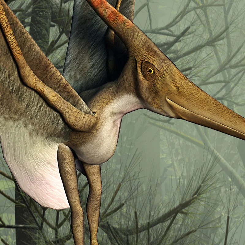 Custom-Photo-Wallpaper-3D-Stereo-Dinosaur-Theme-Large-Murals-Primitive-Forest-Living-Room-Bedroom-Backdrop-Decor (3)