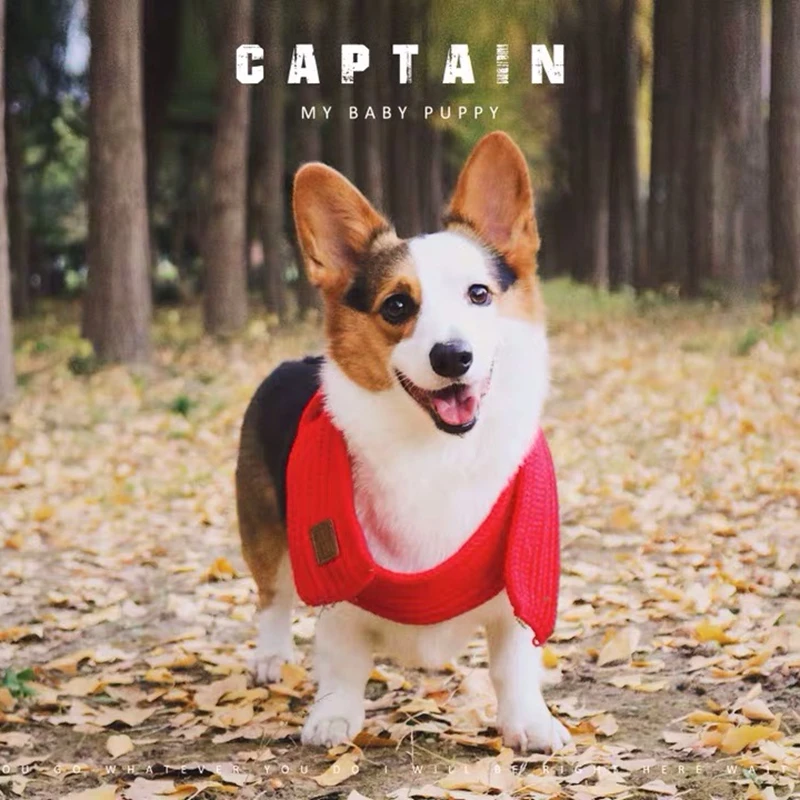 微信图片_20200111194609