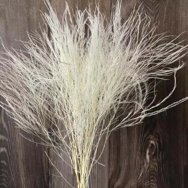About 40cm/10pcs Real Dried Natural Flowers Preserved Feather Grass,dry