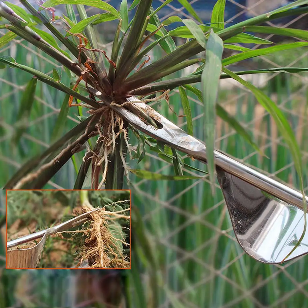 Инструмент для удаления одуванчика вилки садовые инструменты|Рубанки| |