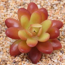 1 шт. искусственные кофейные цветные суккулентные растения декоративные колья и ветровые блесны ландшафтное украшение сада для украшения сада